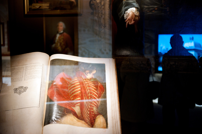 Exposition Sciences et curiositÃ©s Ã  la Cour de Versailles